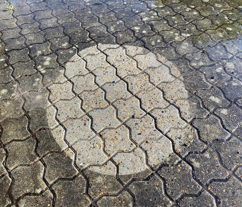 Prøverens8